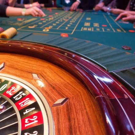 Most Famous Software Providers Foe Live Casinos